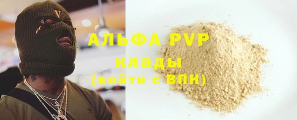СК Тайга